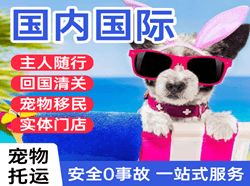 周水子机场快递国际宠物托运 【国